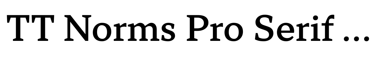 TT Norms Pro Serif Medium